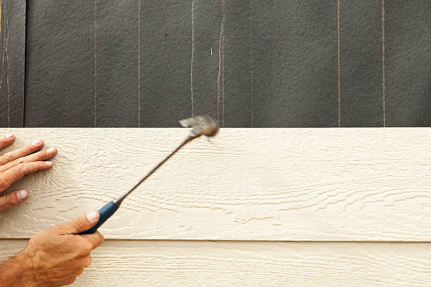 Affordable Siding Repair and Maintenance Services in Torrance, CA